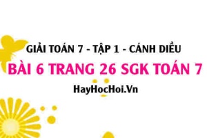 Giải bài 6 trang 26 Toán 7 Tập 1 SGK Cánh Diều
